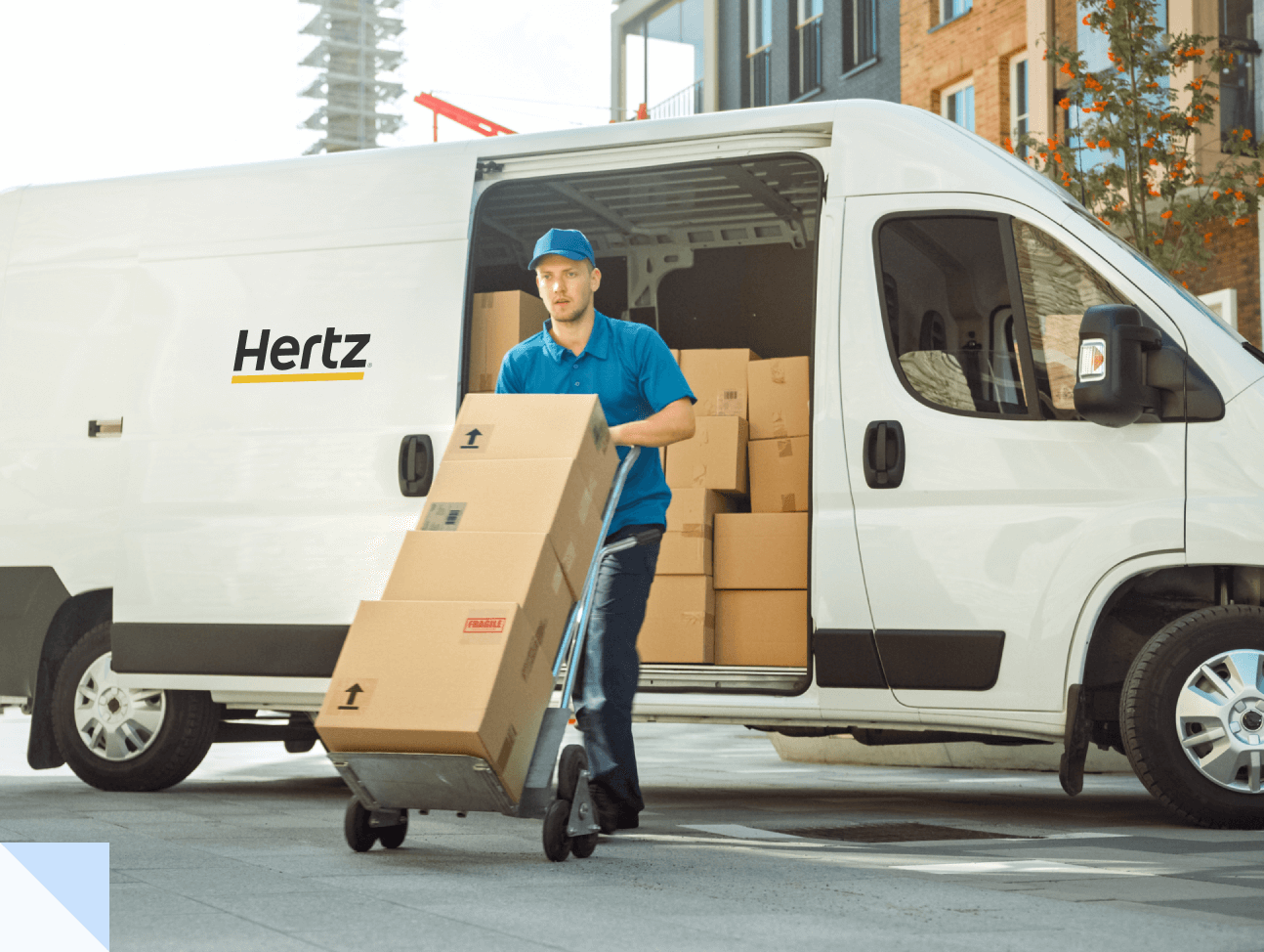 section-business-services